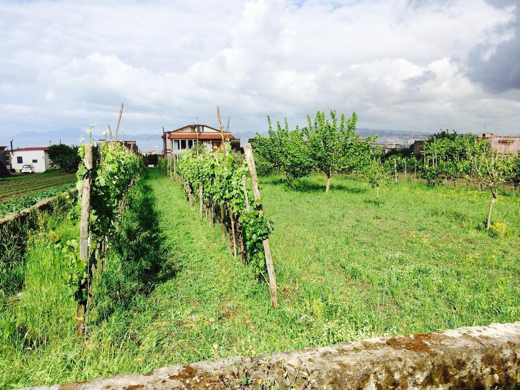 B&B Villa Nunzia Ercolano Zewnętrze zdjęcie