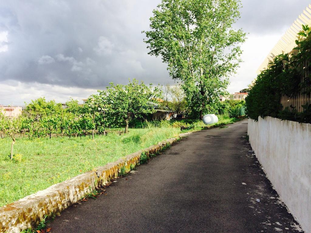 B&B Villa Nunzia Ercolano Zewnętrze zdjęcie